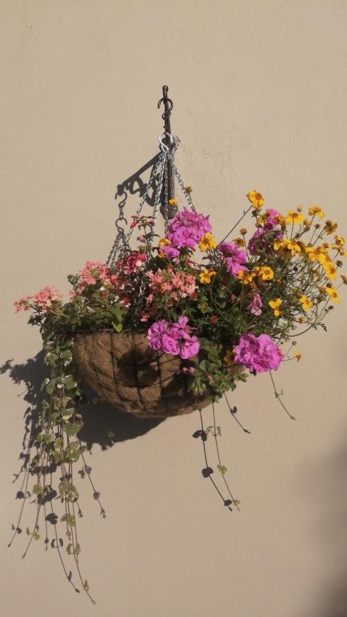 Bed and Breakfast Applecroft House Killarney Exterior foto
